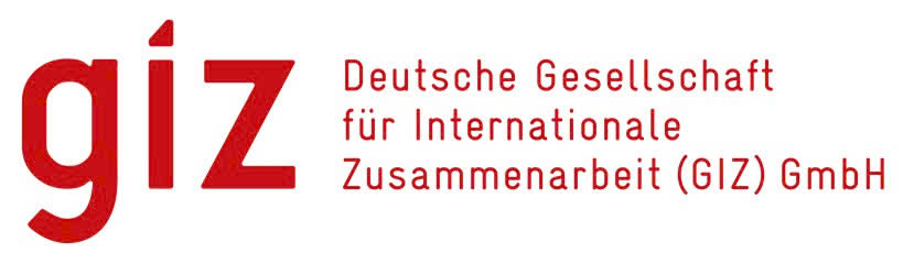 Partner logo 6